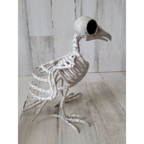 Crazy bonez skeleton bird dodo crow Halloween prop decor - Picture 3 of 9